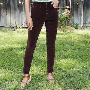 NWT Brown Corduroy Pants